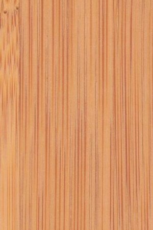 Bamboo