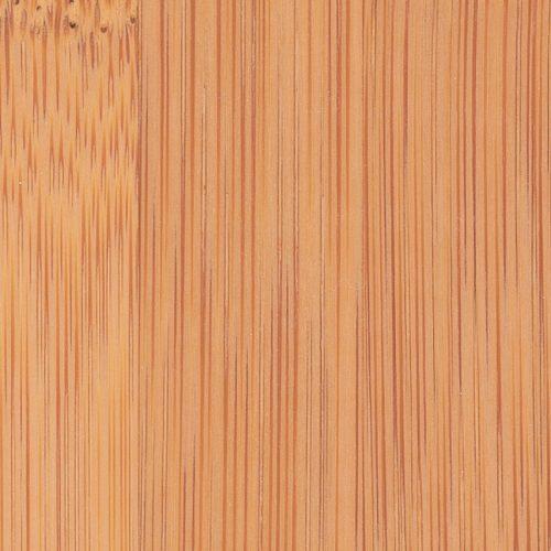 Bamboo